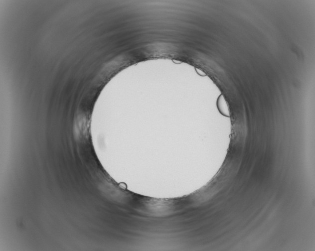 X0000112520142200909281024