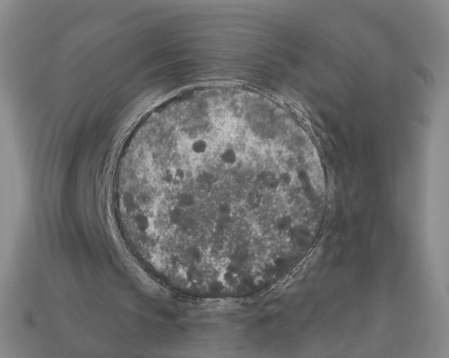 X0000112520145200909281024