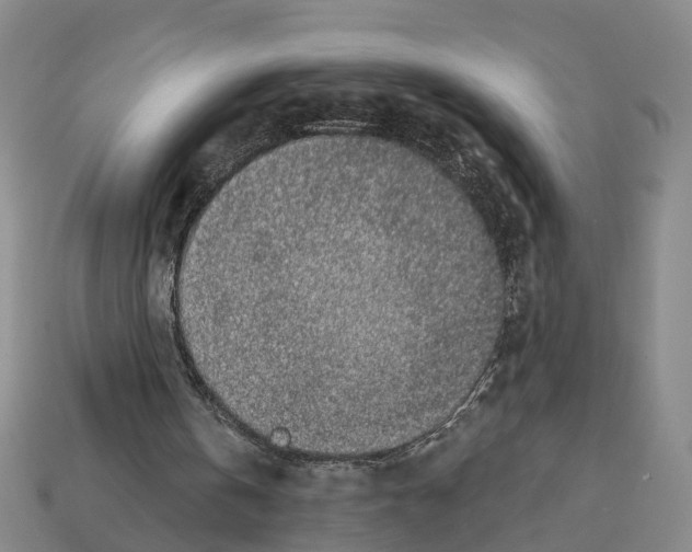 X0000112520146200909281024
