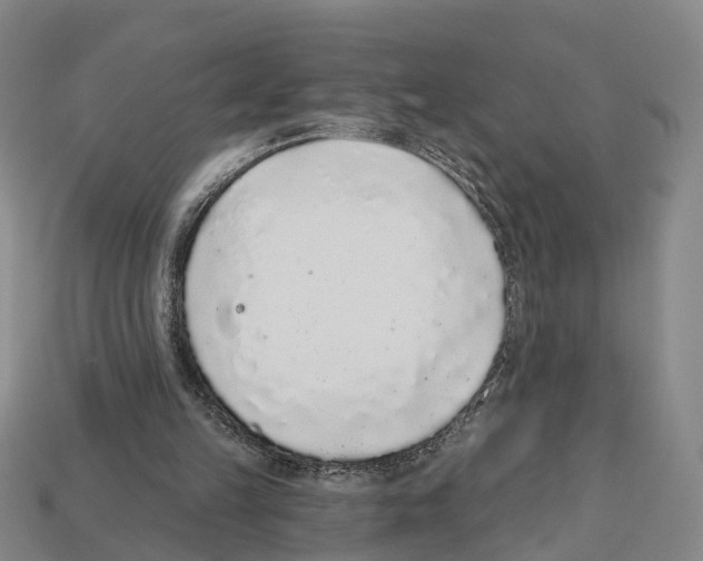 X0000112520149200909281024
