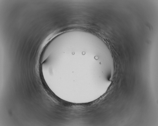 X0000112520150200909281024