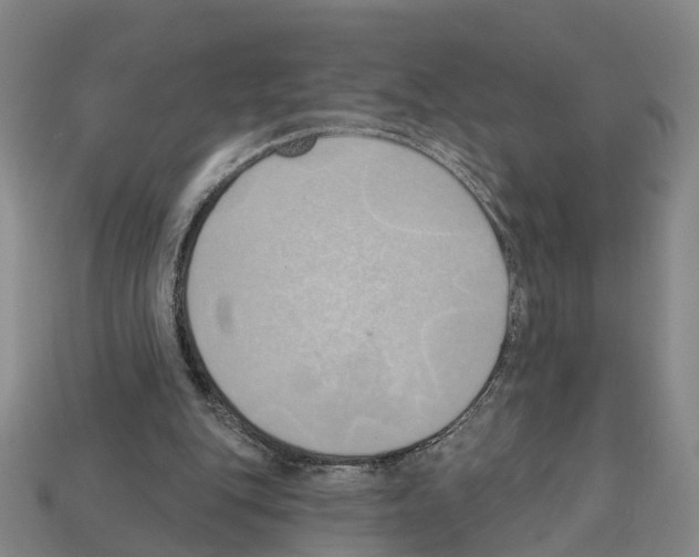 X0000112520151200909281024