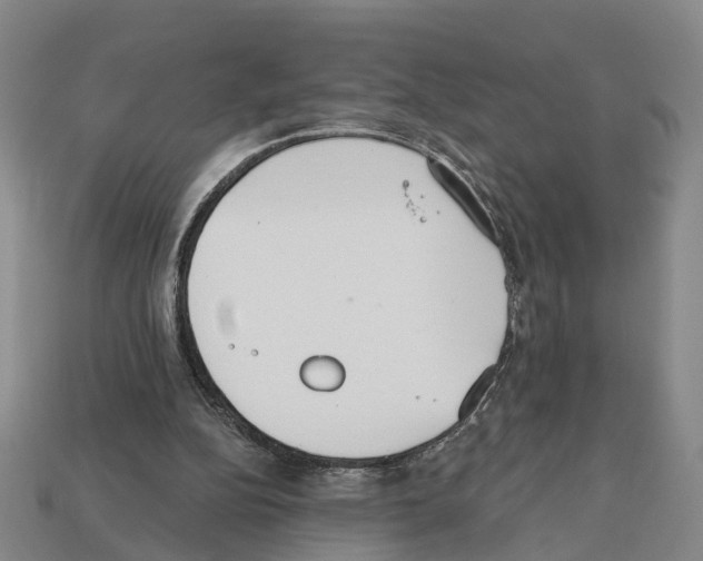 X0000112520152200909281024