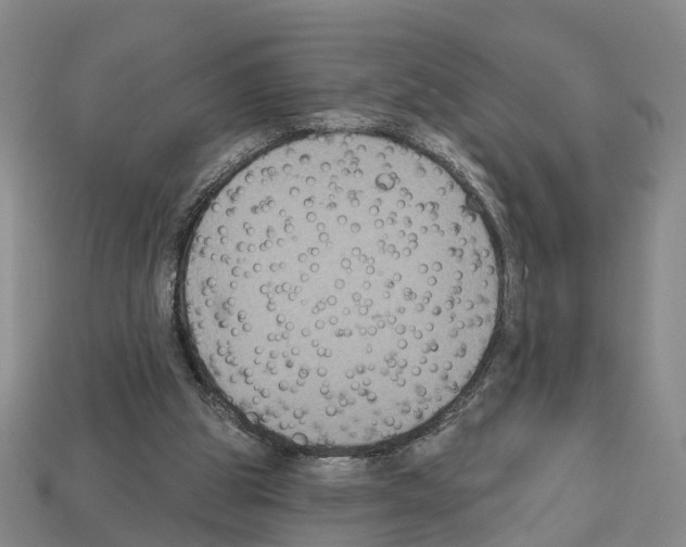 X0000112520153200909281024