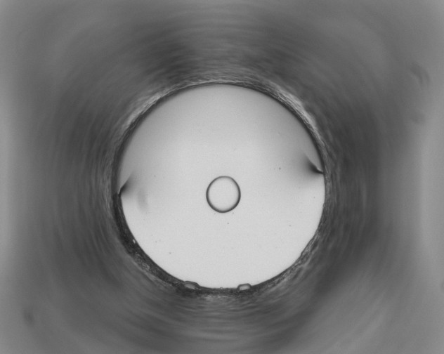 X0000112520154200909281024