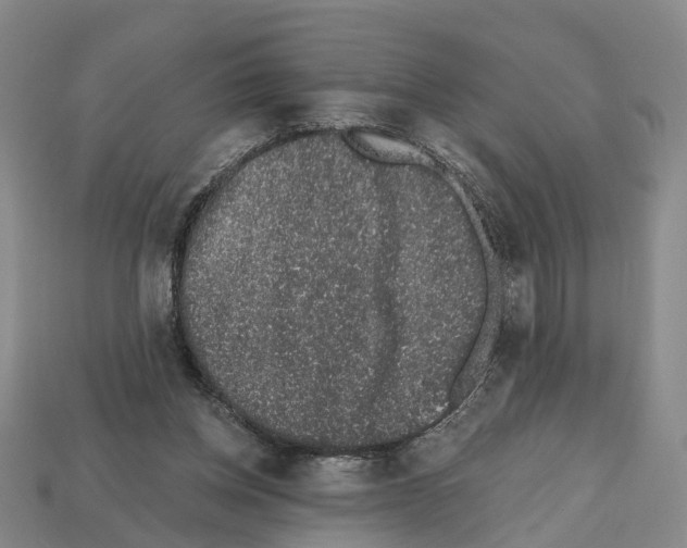 X0000112520158200909281024