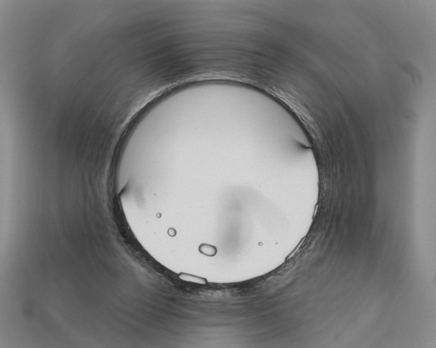 X0000112520160200909281024
