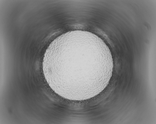 X0000112520161200909281024