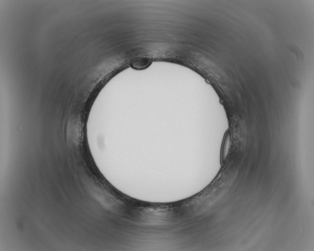 X0000112520164200909281024