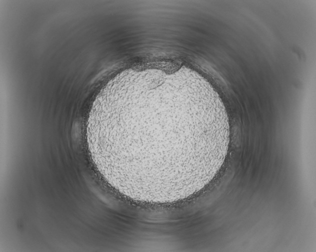 X0000112520165200909281024