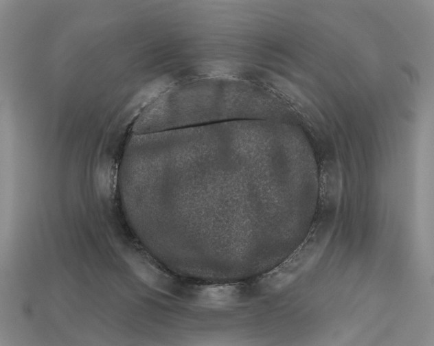 X0000112520168200909281024