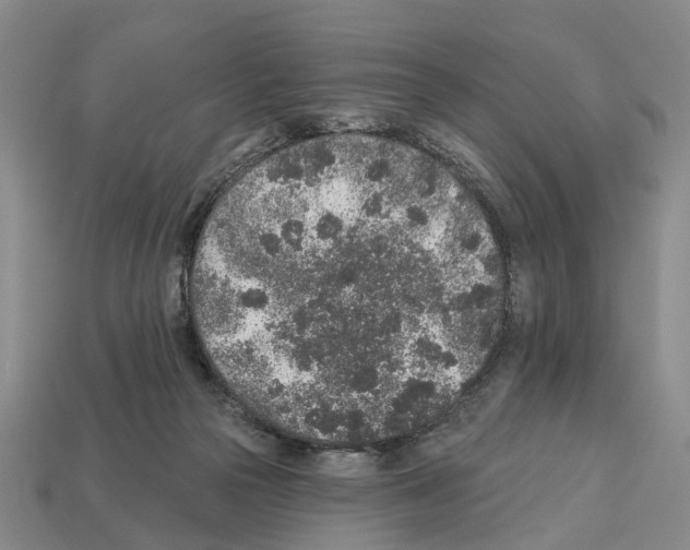 X0000112520169200909281024