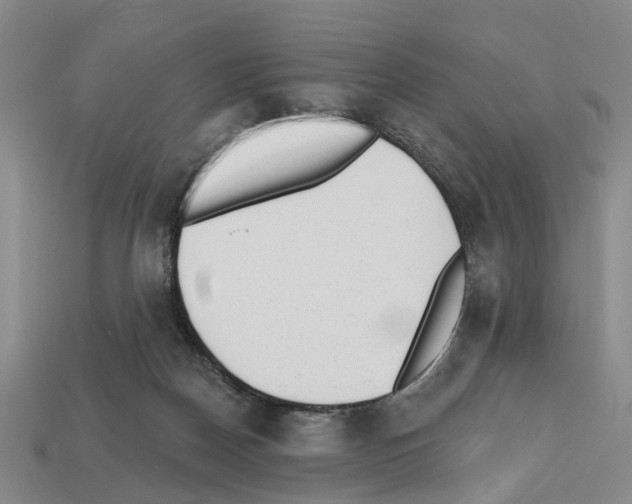 X0000112520170200909281024