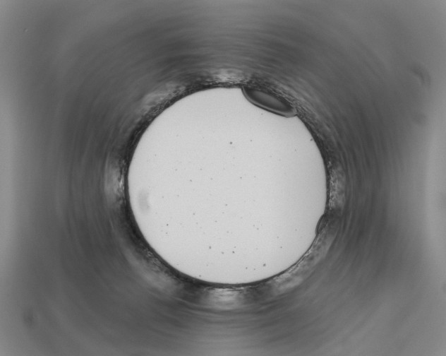 X0000112520176200909281024