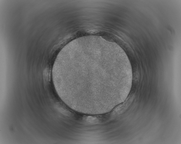 X0000112520180200909281024