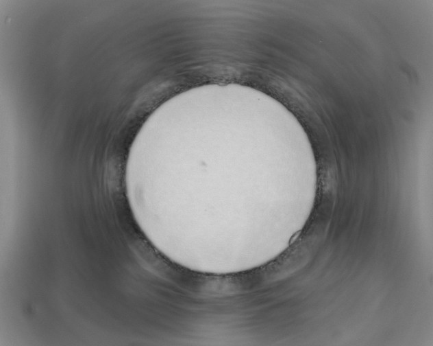 X0000112520185200909281024