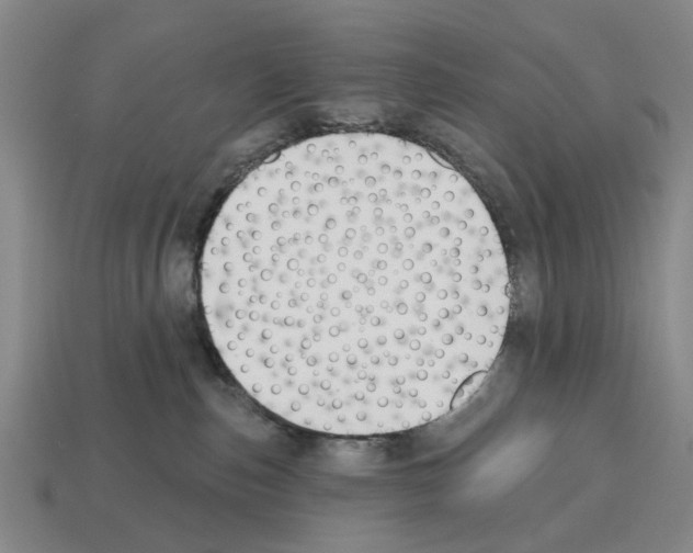 X0000112520187200909281024