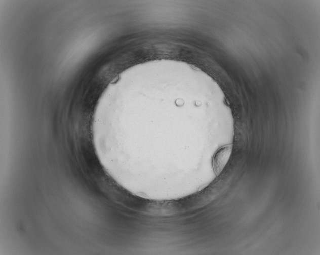 X0000112520189200909281024