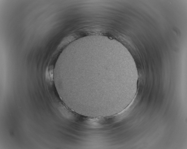 X0000112520190200909281024