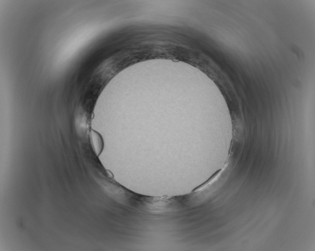 X0000112520191200909281024