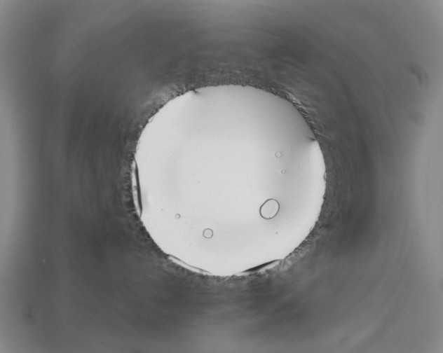 X0000112520192200909281024