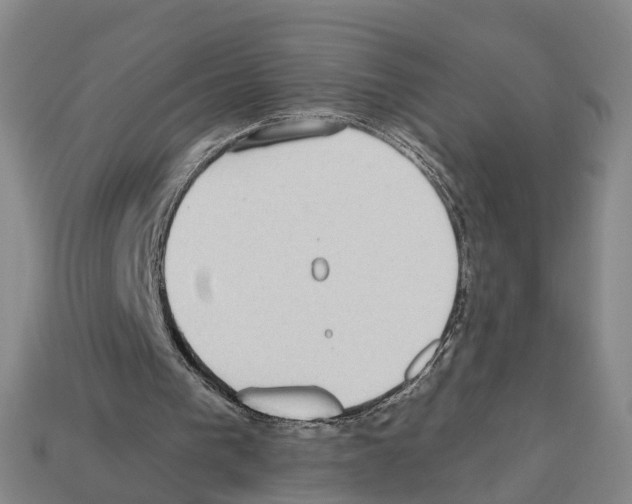 X0000112520193200909281024
