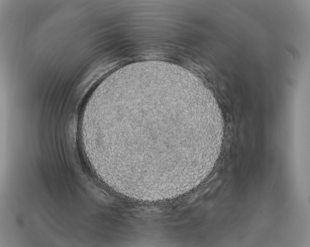 X0000112520194200909281024