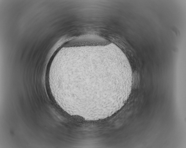 X0000112520195200909281024