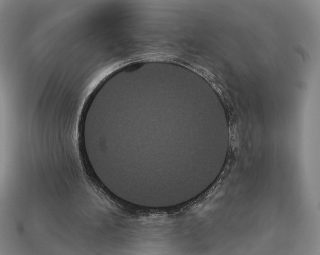 X0000112520196200909281024