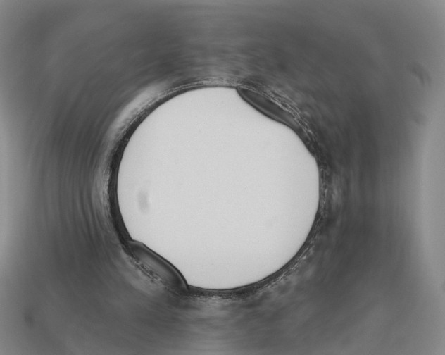 X0000112520197200909281024
