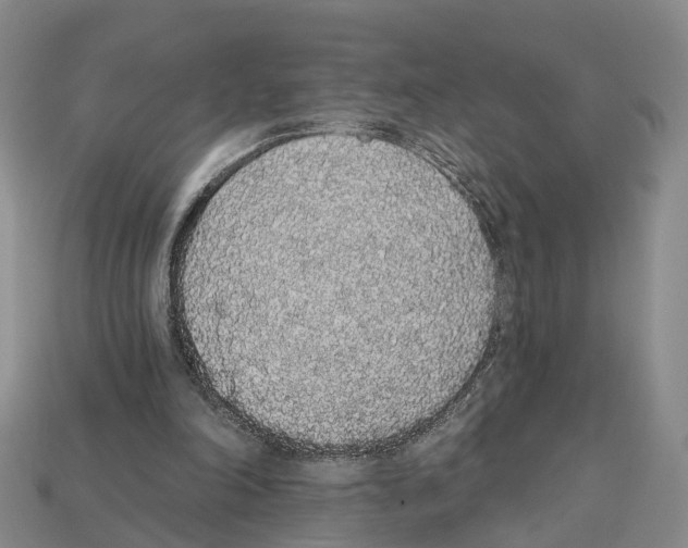 X0000112520198200909281024