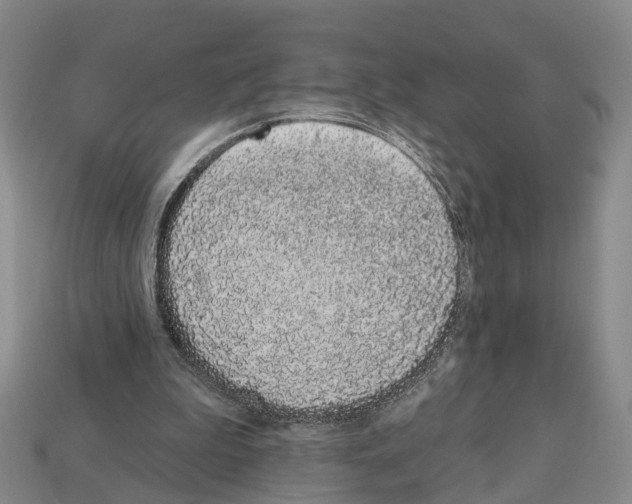 X0000112520199200909281024