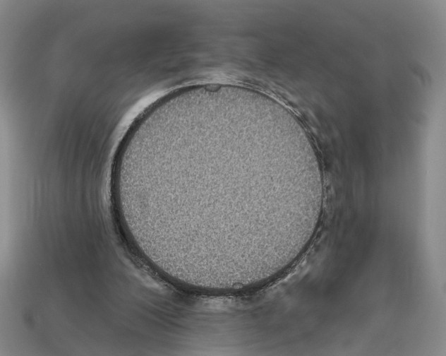 X0000112520200200909281024