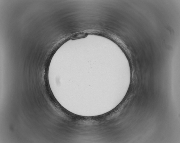 X0000112520201200909281024