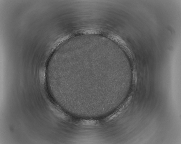 X0000112520202200909281024