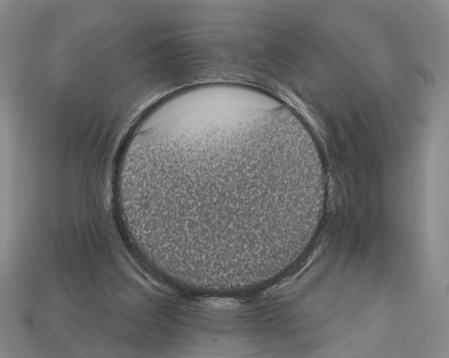 X0000112520203200909281024
