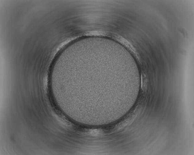 X0000112520204200909281024