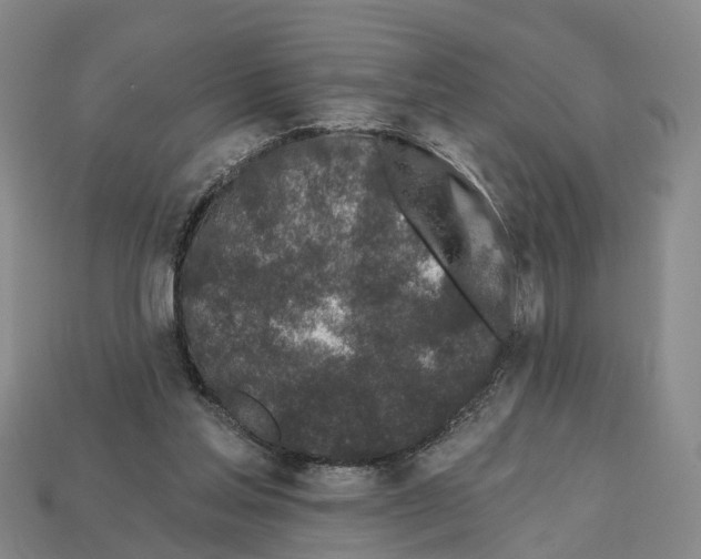 X0000112520205200909281024