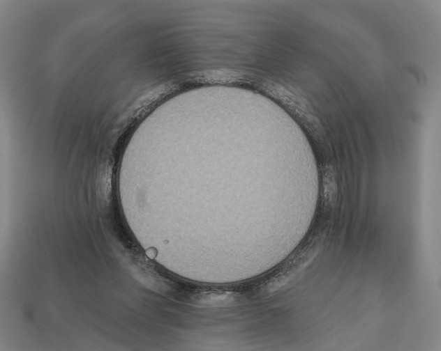 X0000112520206200909281024