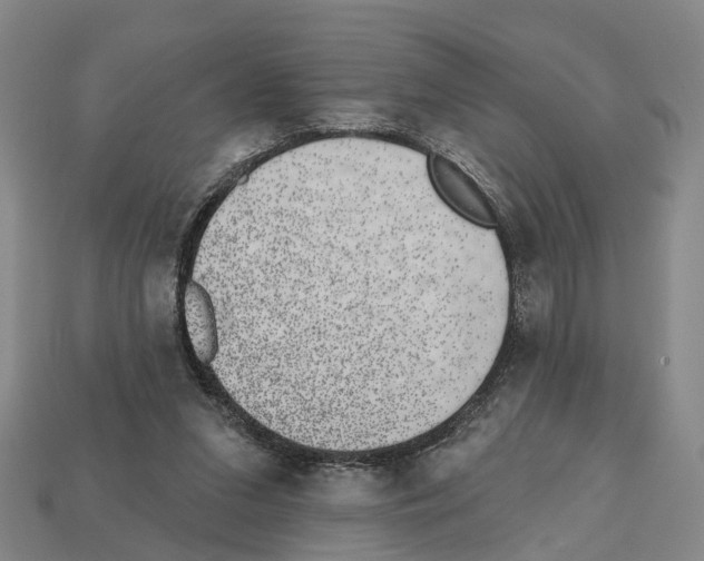 X0000112520207200909281024