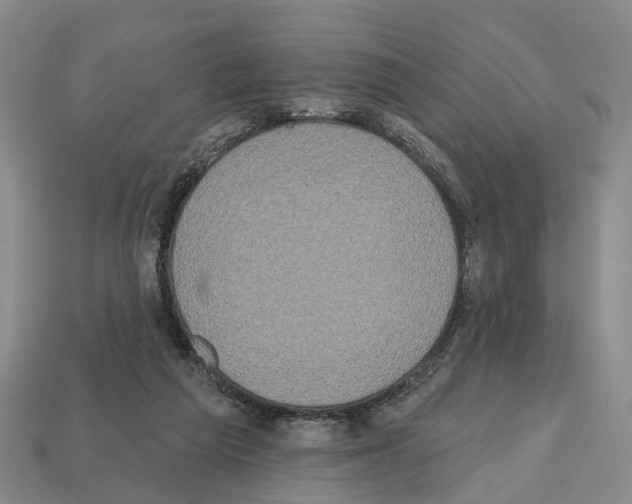 X0000112520209200909281023