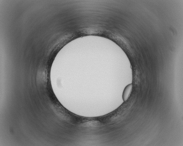 X0000112520210200909281023