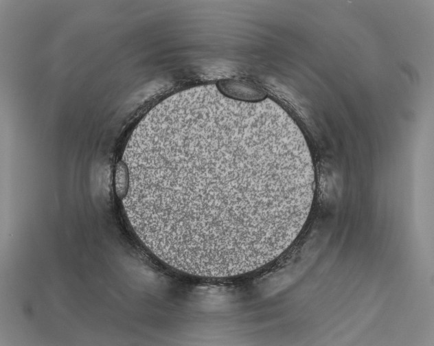 X0000112520211200909281023