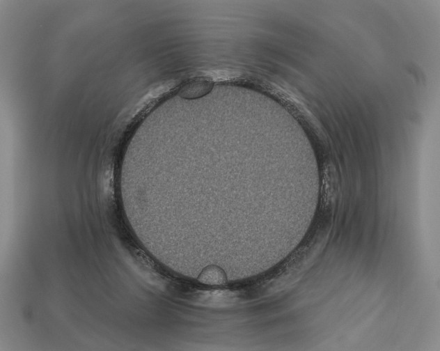 X0000112520212200909281023