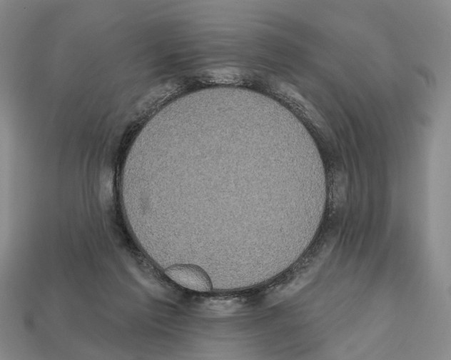X0000112520213200909281023