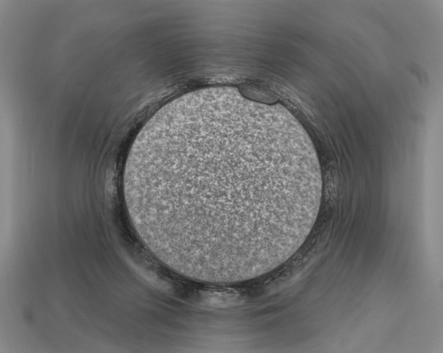 X0000112520215200909281023