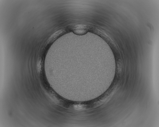 X0000112520216200909281023