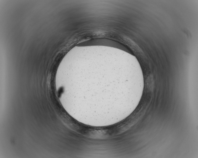 X0000112520217200909281023