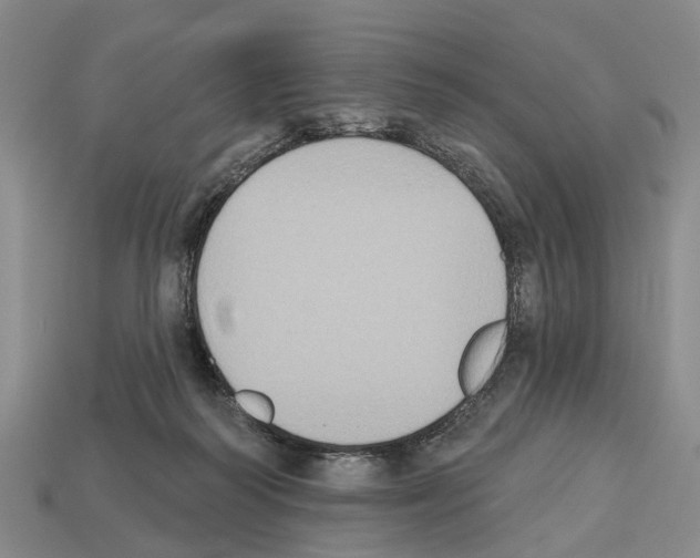X0000112520218200909281023