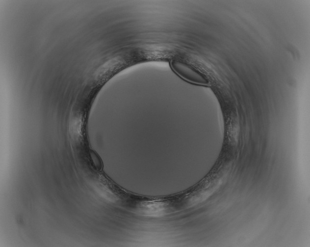 X0000112520219200909281023